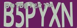 Retype the CAPTCHA code from the image